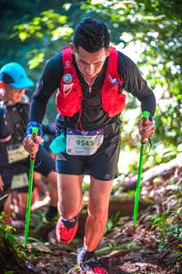 BIB: 100, 9545, 
                            <button type="button" onclick="openModal(19330563)" class="btn btn-primary btn-sm float-right btn-popup" data-toggle="modal" data-target=".modal-high-quality">
                        <i class="fas fa-shopping-cart"></i> Add to Cart
                    </button>
                                            <button type="button" onclick="isThisMe(19330563, true)" class="btn btn-success btn-sm float-right btn-popup btn-isme hidden" data-toggle="tooltip" data-placement="bottom" title="นี่คือรูปของคุณใช่ไหม คลิกที่นี่เพื่อเอาเข้าอัลบั้ม">
                        <i class="fas fa-plus"></i> Add to album
                    </button>
                    <button type="button" onclick="isThisMe(19330563, false)" class="btn btn-warning btn-sm float-right btn-popup btn-isnotme hidden">
                        <i class="fas fa-ban"></i> Remove from album
                    </button>